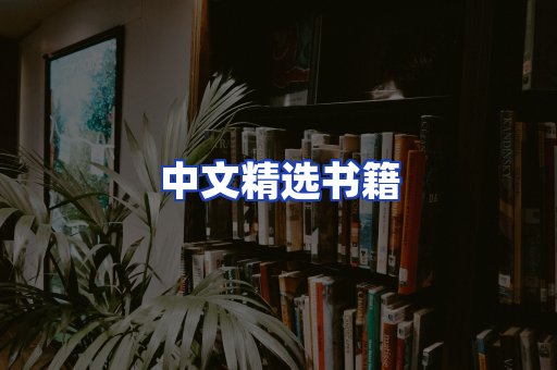 中文精选书籍